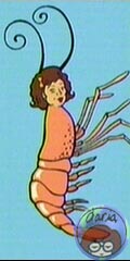 Ms BENNETT